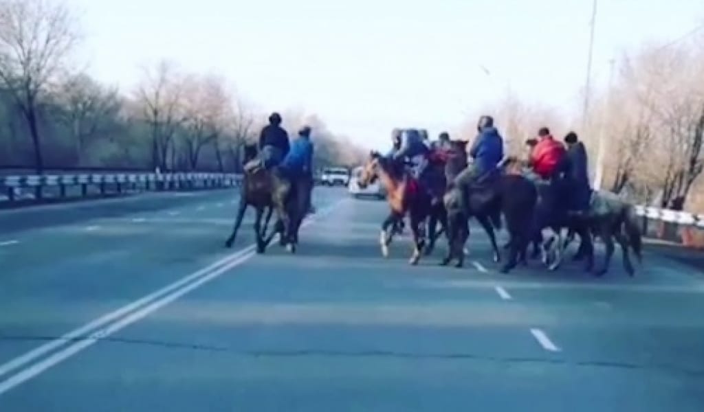 "ОЙЛАМАДЫҚ": ЖЕТІ ЖІГІТ КӨКПАР ТАРТҚАНЫ ҮШІН ЖАУАПҚА ТАРТЫЛДЫ