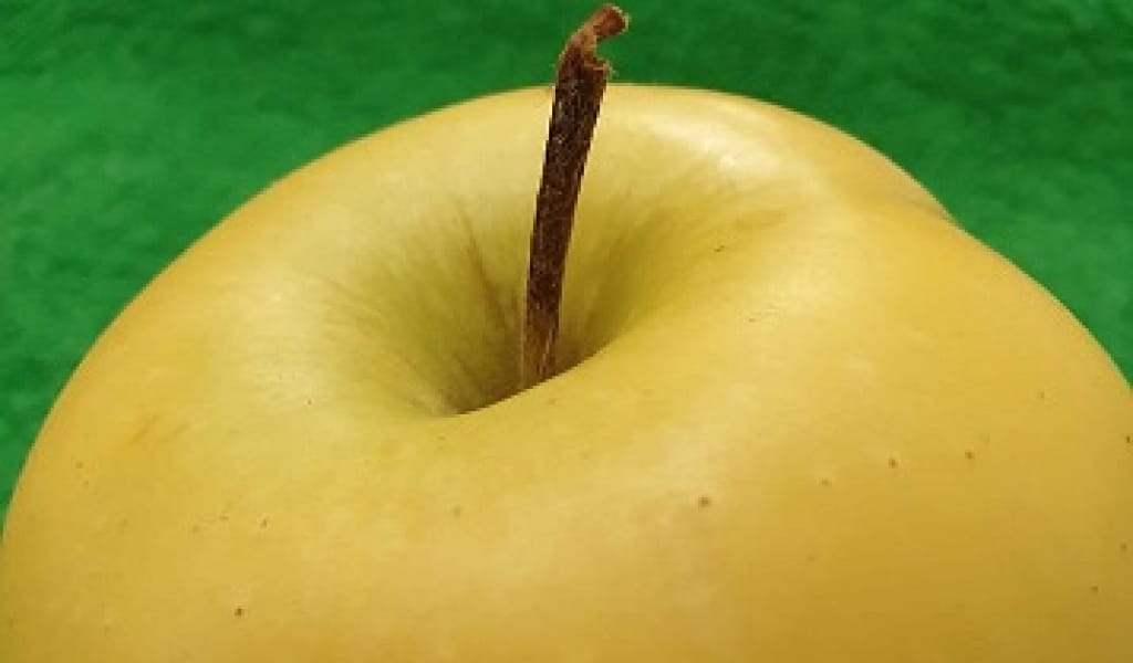 "АЛМАТЫ" МА, "АЛМА-АТА" МА? НҰРЛАН ӨНЕРБАЙ ПІКІР БІЛДІРДІ