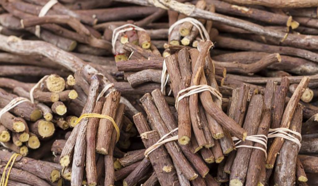 САТПАЙЫҚ, САҚТАЙЫҚ: ҚАЗАҚСТАНДА ҚАРТАЮДЫҢ АЛДЫН АЛАТЫН ӨСІМДІК БАР