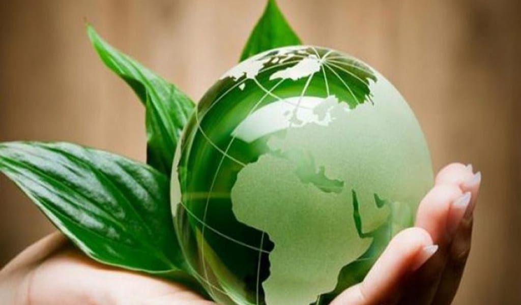 ЖАҢА КОДЕКС: ТАБИҒАТТЫ ЛАСТАУШЫ ӨЗІ ТӨЛЕЙДІ, ӨЗІ ТҮЗЕТЕДІ