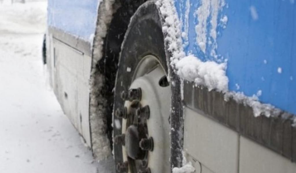 БІРЕУІ БАЛА: АЛМАТЫ ОБЛЫСЫНДА 33 ЖОЛАУШЫ ҚҰТҚАРЫЛДЫ