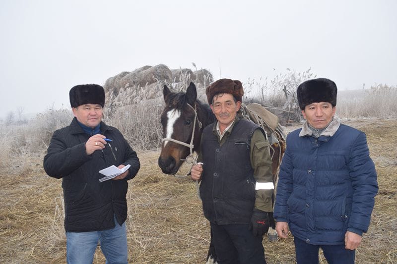 Төрт түлік - береке бастауы