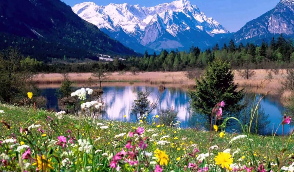 ОРМАН КҮТУШІСІ: "ЖОҢҒАР АЛАТАУЫНДА ТАУ БАРЫСЫ БАР"