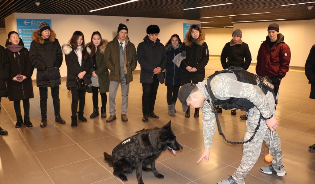 "БӨЛЕК ЕКЕН": ЕРІКТІЛЕР НҰР-СҰЛТАНДАҒЫ КӨЛІК ПОЛИЦЕЙЛЕРІМЕН КЕЗДЕСТІ