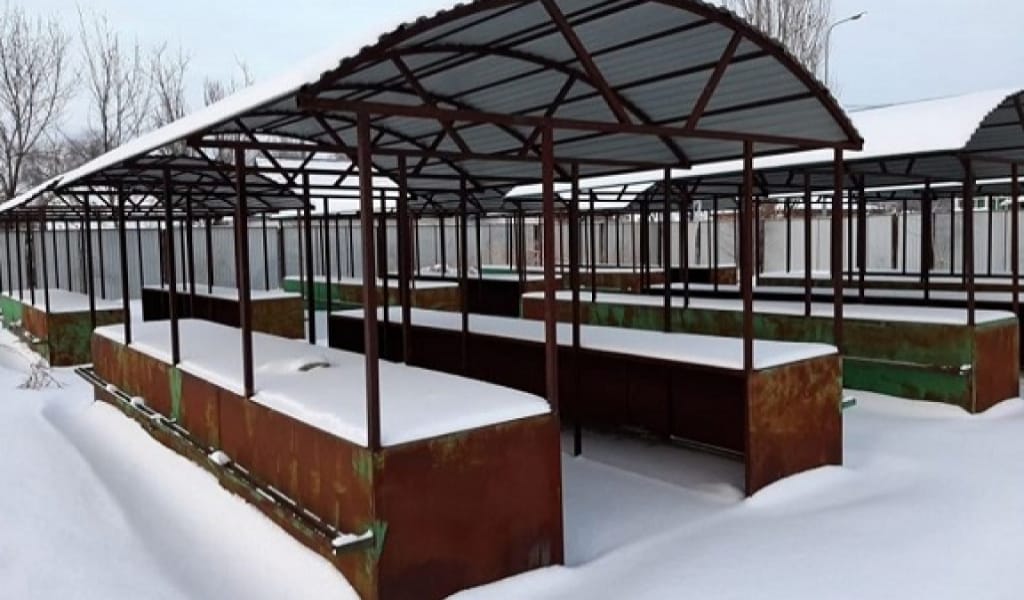 "ЖАРТЫ ЖЫЛ ТЕГІН": ЖАБАЙЫ САУДА ИЕЛЕРІ ЖАҢА БАЗАРҒА КӨШЕДІ