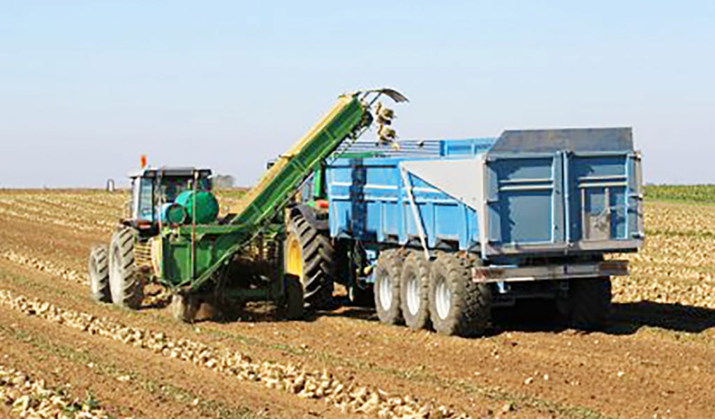 "БӘРІ БАСҚАША": ОН МЫҢ ТОННА ҚЫЗЫЛША ЖИНАҒАН КӘСІПКЕР ЖОСПАРЫМЕН БӨЛІСТІ