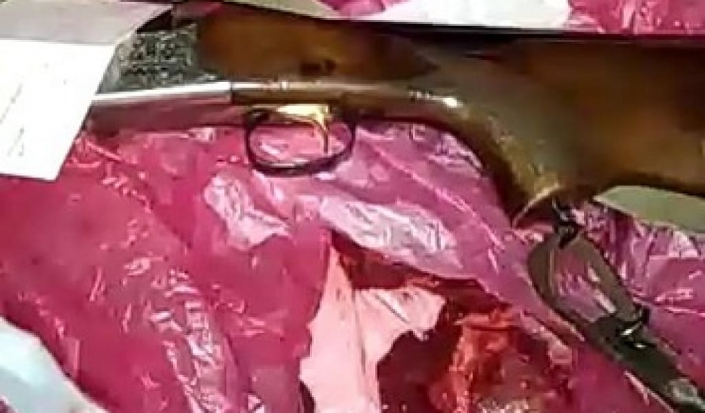 "ЖІЛІКТЕЛГЕН": ЕЛІК ЕТІН ЗАҢСЫЗ ТАСЫМАЛДАҒАН ЕКІ АЗАМАТ ҰСТАЛДЫ