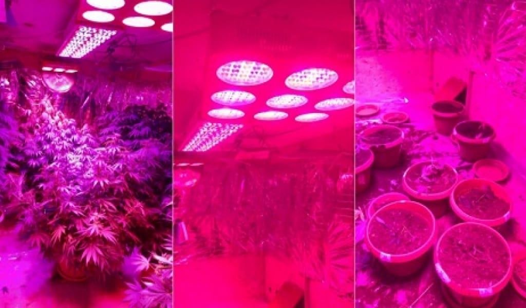 ІЛЕ АУДАНЫНДА ҮЙДЕ ЕСІРТКІ ӨСІРЕТІН ЕР АДАМ ҰСТАЛДЫ