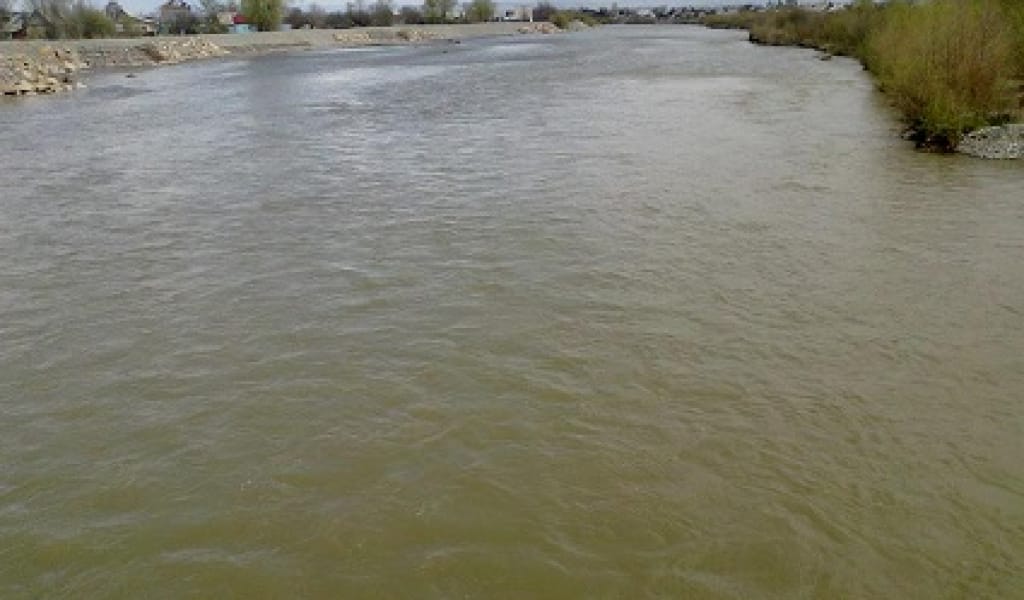 КӨЛІК ЖҮРГІЗУШІСІН АЖАЛДАН ҚҰТҚАРҒАН ЖІГІТ МАРАПАТҚА ҰСЫНЫЛДЫ