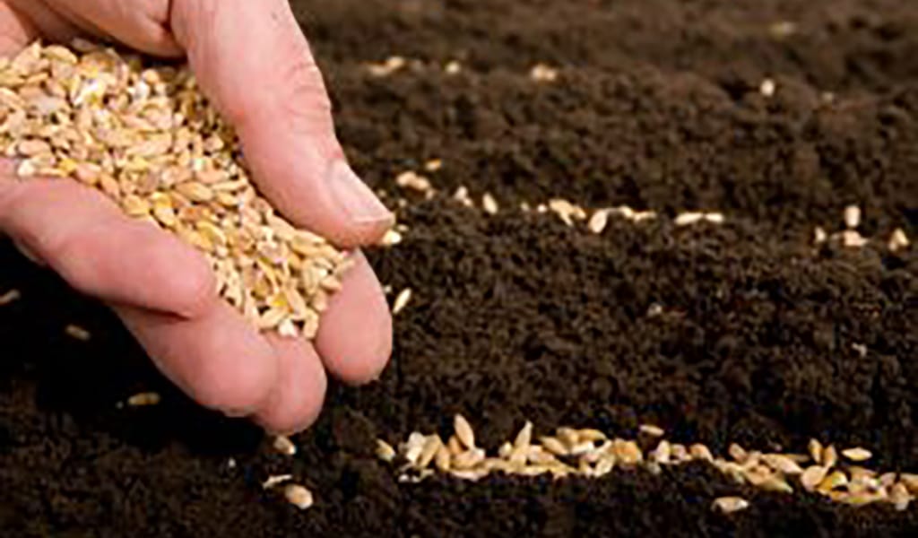 ҮҢГІРТАСТА ҚЫЗУ ЕҢБЕК