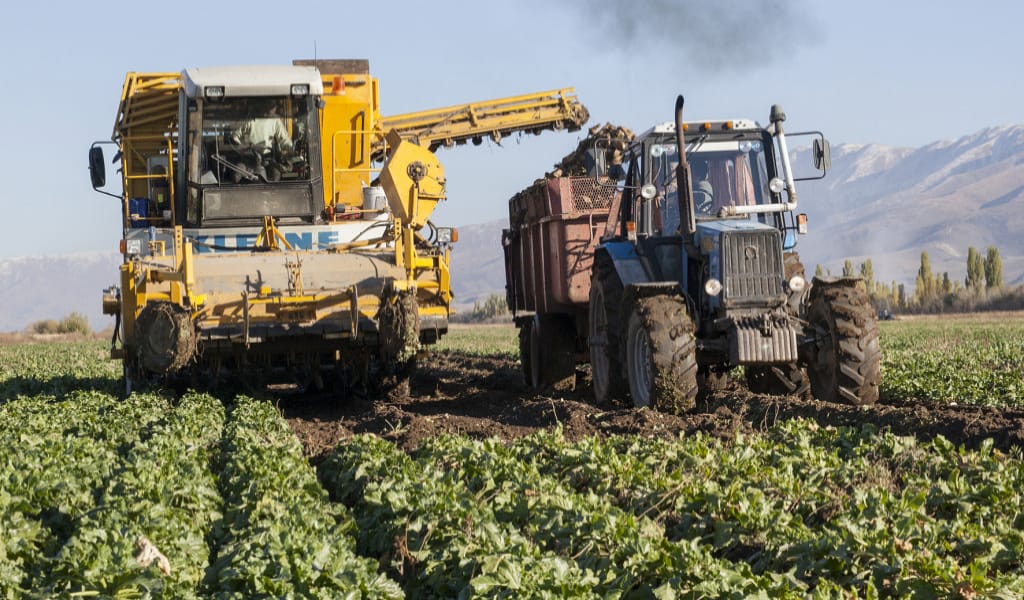 АЛМАТЫ ОБЛЫСЫНДА ҚЫЗЫЛША АЛҚАБЫНЫҢ КӨЛЕМІ ҰЛҒАЙДЫ