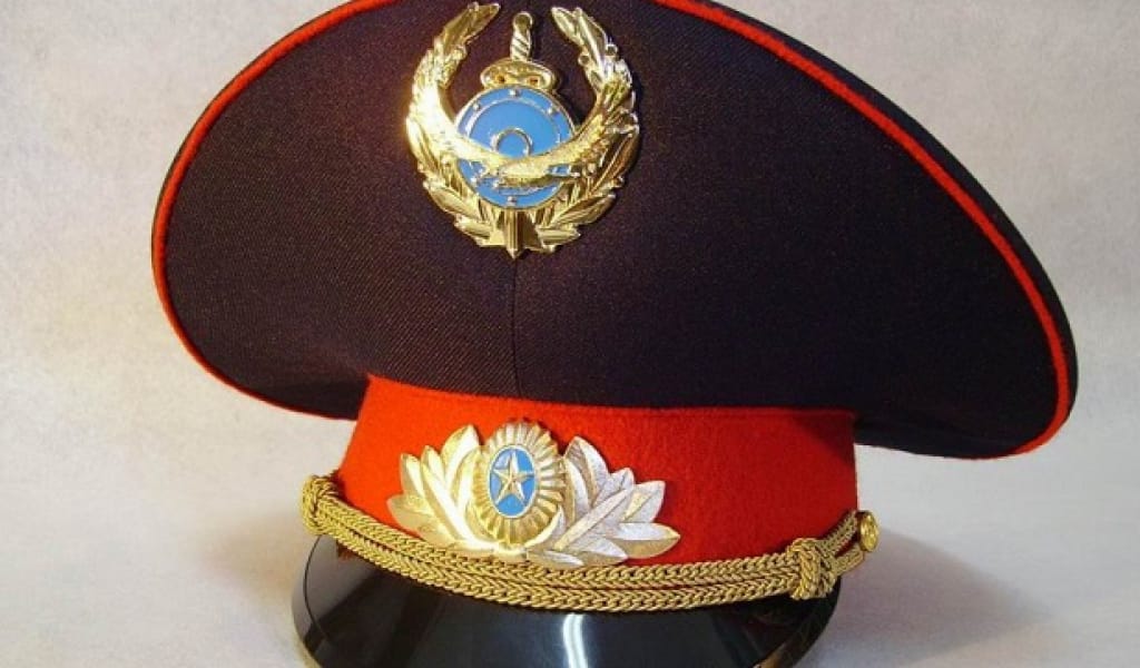 "АУРУХАНАДАҒЫ БҰЗАҚЫЛЫҚ": ШЕЛЕК АУЫЛЫНЫҢ ТҰРҒЫНЫ ПОЛИЦЕЙГЕ ҚАРСЫЛЫҚ КӨРСЕТТІ