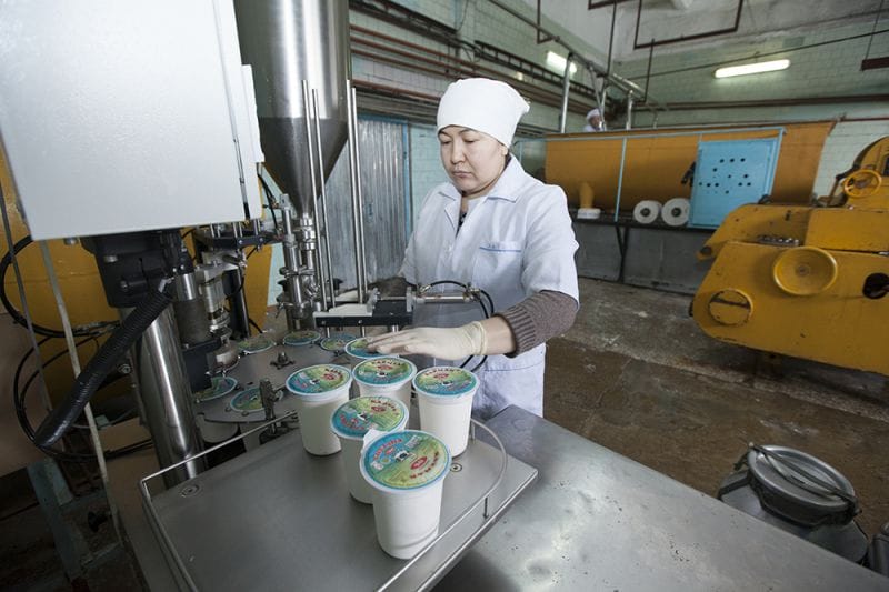 Мемлекет қолдауы тиімді