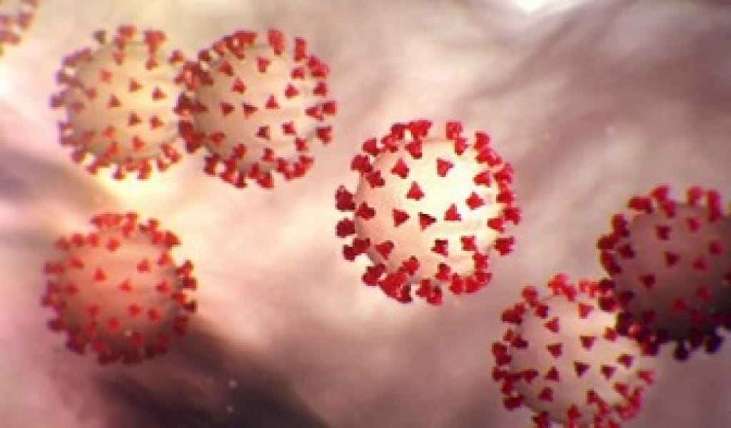 ТАЛҒАР АУДАНЫНЫҢ 22 ЖАСТАҒЫ ТҰРҒЫНЫНАН КОРОНАВИРУС ТАБЫЛДЫ