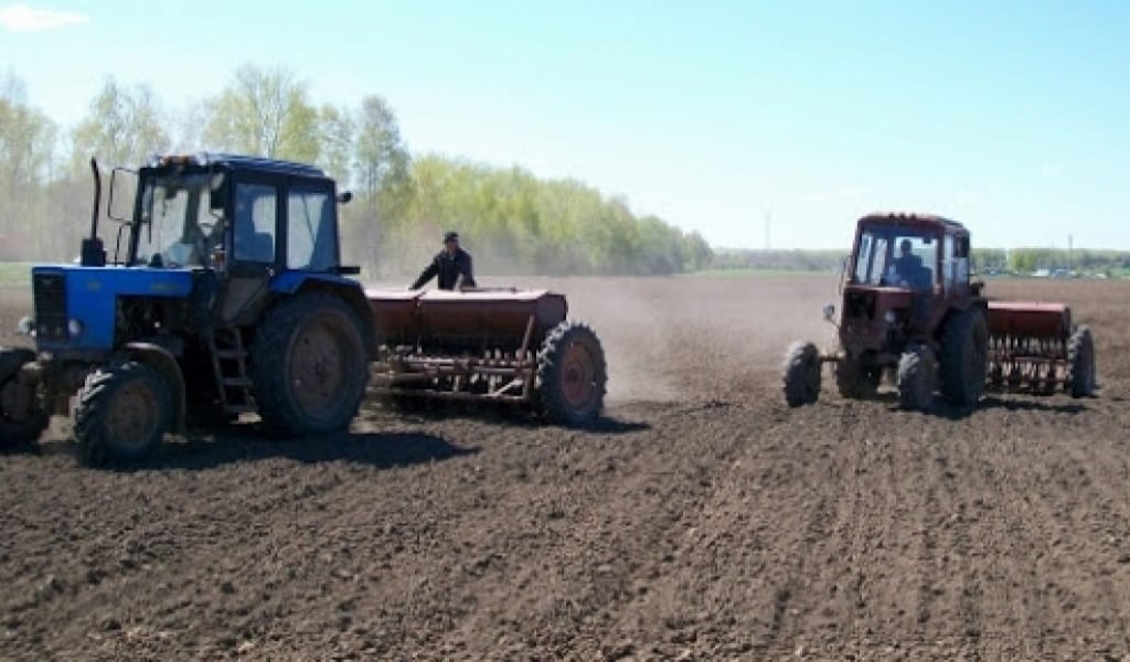 "ҚЫЗУ ЖҰМЫС": ҚАРАТАЛДЫҚ ДИҚАНДАР КӨКТЕМНІҢ ӘР КҮНІН ҚАЛТ ЖІБЕРМЕЙДІ