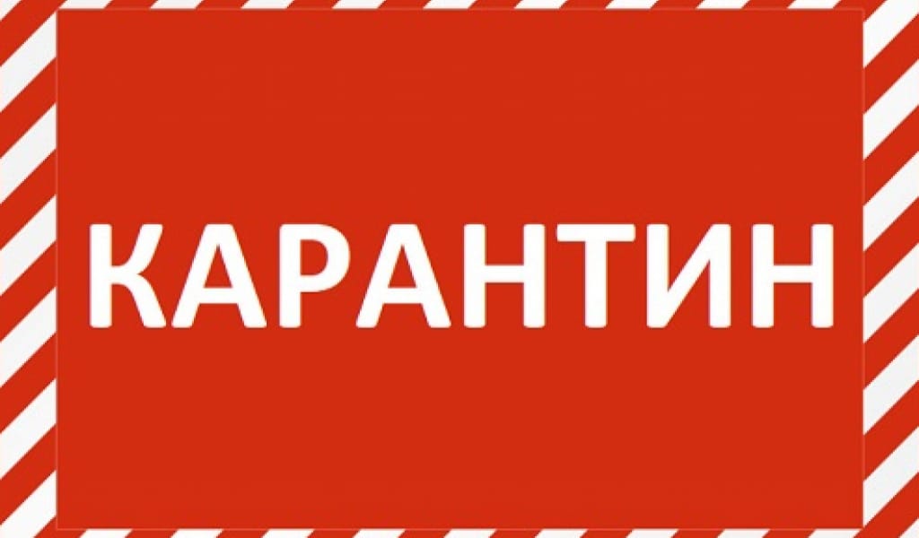 "КҮНІНЕ БІР РЕТ ШЫҒУҒА РҰҚСАТ": 15 СӘУІРДЕН БАСТАП АЛМАТЫ ОБЛЫСЫНДА КАРАНТИН