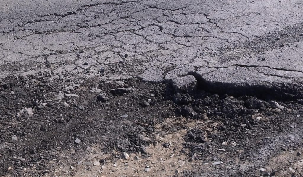 "ТҮЗЕТІЛМЕГЕН": ТАЛДЫҚОРҒАН ҚАЛАСЫНДА 61 ЛАУАЗЫМДЫ ТҰЛҒАҒА АЙЫППҰЛ САЛЫНДЫ