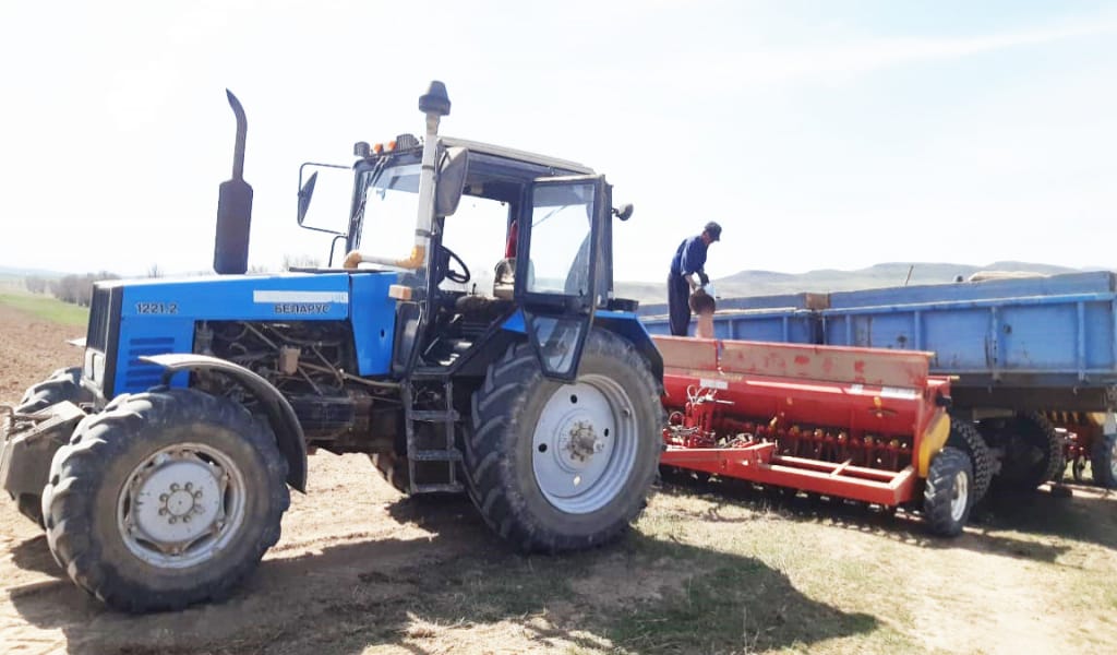 АЛМАТЫ ОБЛЫСЫНЫҢ ЕГІСТІК АЛҚАПТАРЫНДА ҚЫЗУ ТІРЛІК БАСТАЛДЫ