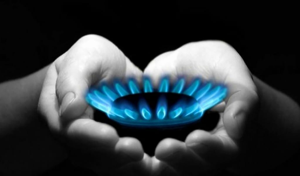 АЛМАТЫ ОБЛЫСЫНЫҢ 56 ПАЙЫЗЫ КӨГІЛДІР ОТЫНМЕН ҚАМТЫЛДЫ