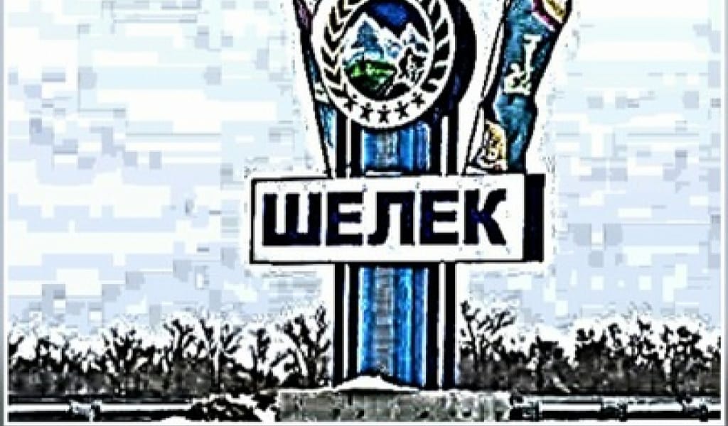 "БІР КҮНДЕ БЕС АДАМ": ШЕЛЕК АУЫЛЫНА КҮШЕЙТІЛГЕН КАРАНТИН ЕНГІЗІЛДІ
