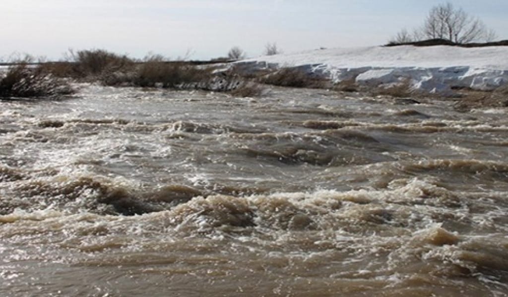 "МЫҢ ҚҰБЫЛАДЫ": ПАНФИЛОВ АУДАНЫ ТҰРҒЫНДАРЫН СУ ТАСҚЫНЫ АЛАҢДАТАДЫ