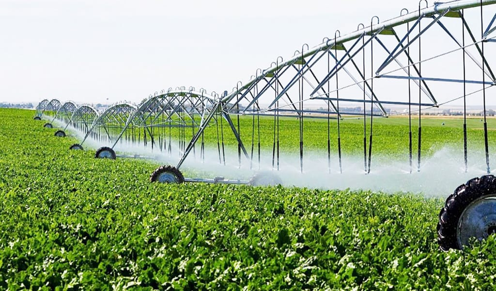 СУАРМАЛЫ АЛҚАП АУМАҒЫ ҰЛҒАЯДЫ