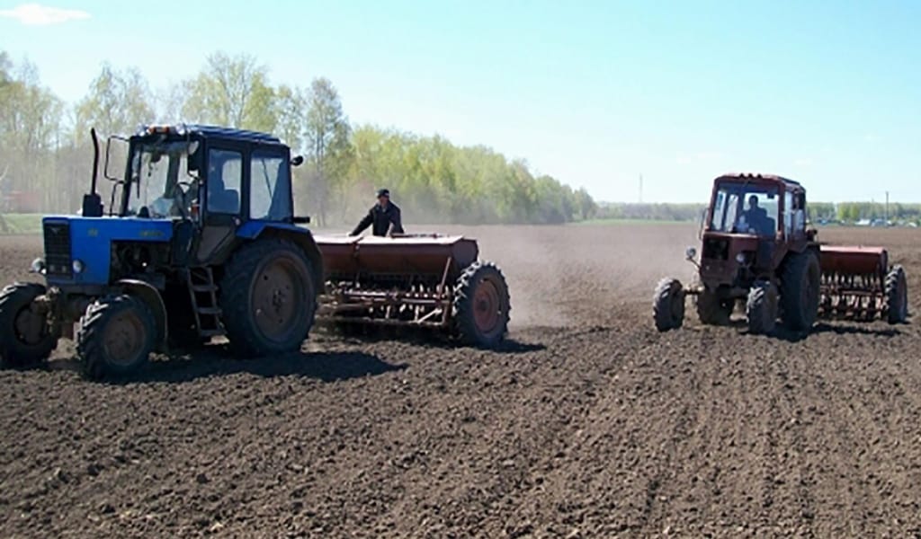 КӨКТЕМНІҢ БІР КҮНІ