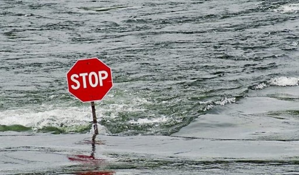 "ҚАУІП ЖОҚ": АЛМАТЫ ОБЛЫСЫНДА СУ ДЕҢГЕЙІ НОРМАДАН ТӨМЕН