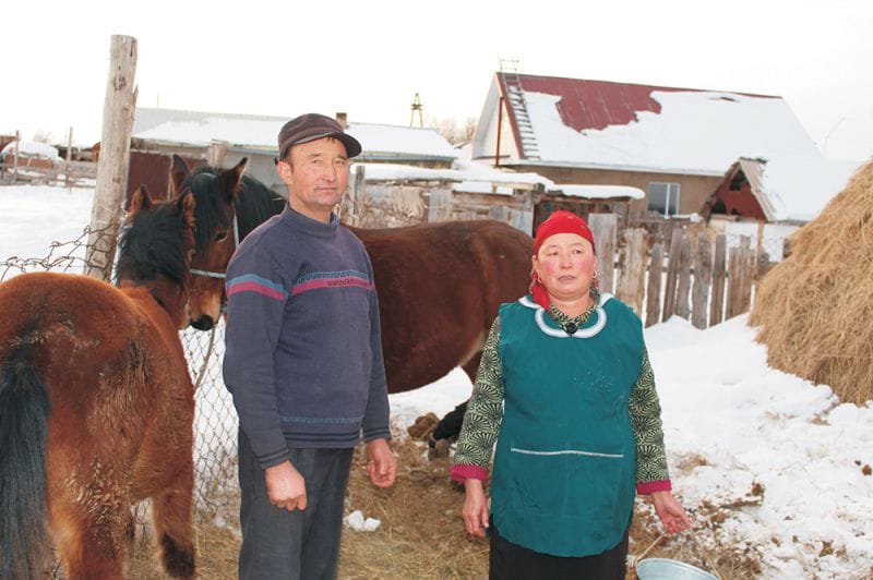 Қаңтарда қымыз қамдаған