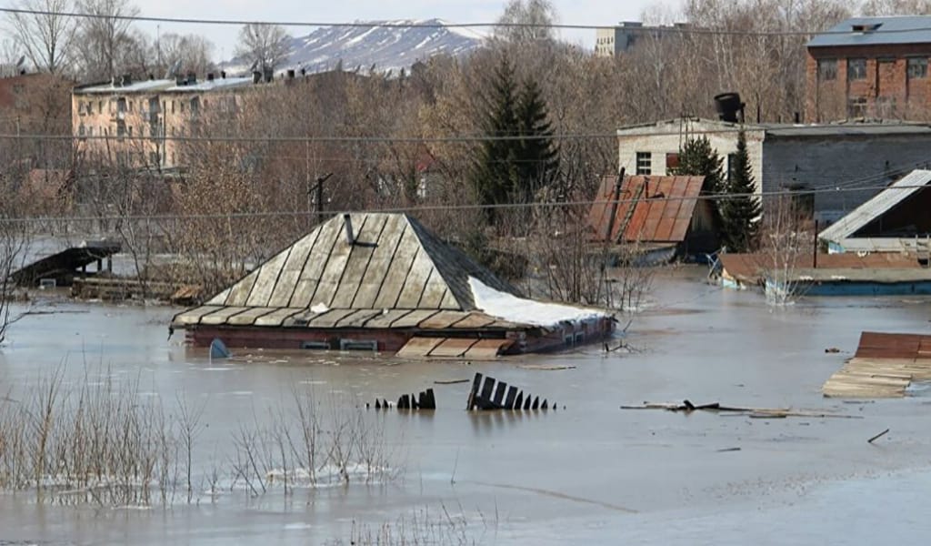ТАБИҒАТТЫ ТЫНЫҚТЫРМАСАҚ, КОРОНАВИРУСТАН ДА ҚАУІПТІ ІНДЕТ ШЫҒУЫ МҮМКІН