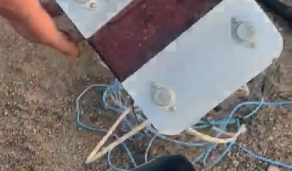 ҚАПШАҒАЙДА ЭЛЕКТР ТОГЫМЕН БАЛЫҚ АУЛАҒАН АЗАМАТ ЖАУАПҚА ТАРТЫЛДЫ