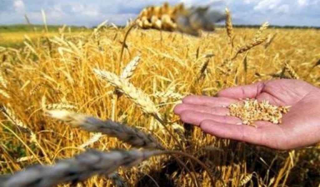 ДАМУ МҮМКІНДІКТЕРІН МОЛАЙТАДЫ
