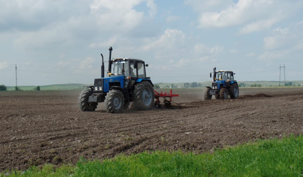 ЖАМБЫЛ АУДАНЫНДАҒЫ ҚОЖАЛЫҚ БАСШЫСЫ ЖҰМЫСШЫЛАРЫН КӨБЕЙТТІ