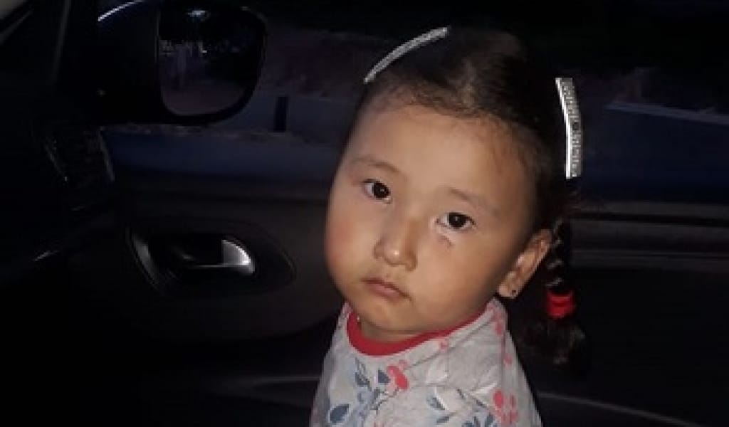 ҚАПШАҒАЙДА ЖОҒАЛЫП КЕТКЕН ТӨРТ ЖАСАР БҮЛДІРШІН АМАН-ЕСЕН ТАБЫЛДЫ