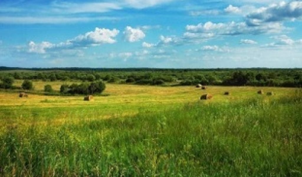 ЖАЙЫЛЫМСЫЗ ҚАЛҒАН ТҰРҒЫНДАР БІР ТАБЫН СИЫРДЫ ӘКІМДІККЕ АЙДАП ӘКЕЛДІ