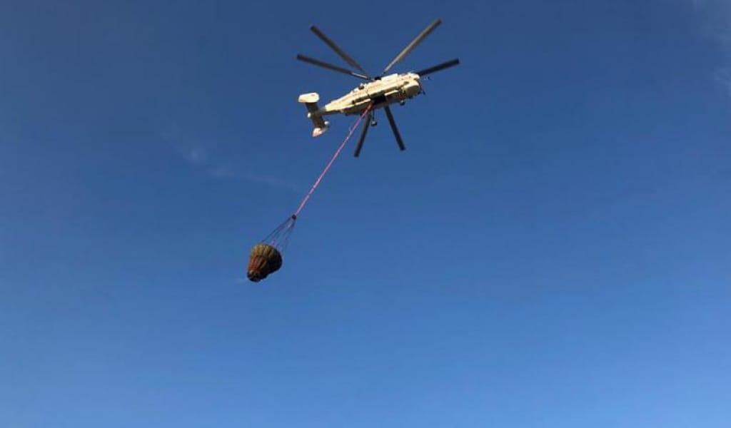 АЛМАТЫ МАҢЫНДА ШЫҚҚАН ӨРТ ҮШ ГЕКТАР АУМАҚҚА ЖАЙЫЛДЫ