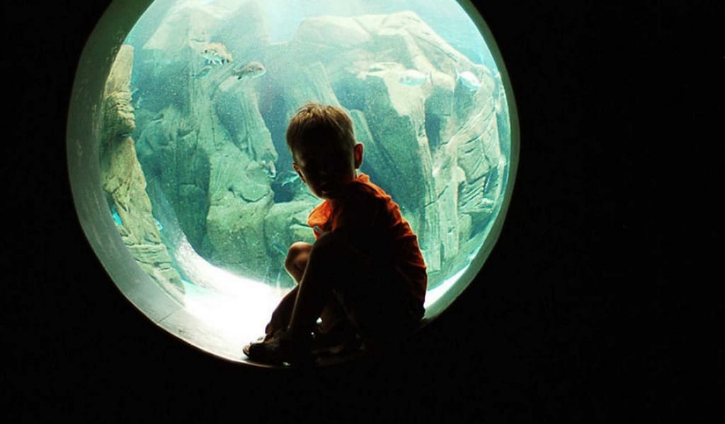 "АТА-АНАЛАРЫ АТ ІЗІН САЛМАЙДЫ": СЫРТҚЫ ӘЛЕММЕН БАЙЛАНЫСЫ ЖОҚ БАЛАЛАР