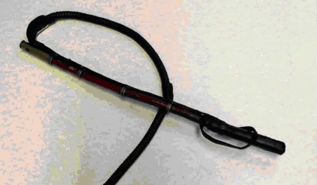 "ҚОЛДАНЫСТАН ШЫҒЫП БАРАДЫ": ТОБЫЛҒЫ САПТЫ ҚАМШЫ ТУРАЛЫ НЕ БІЛЕМІЗ?