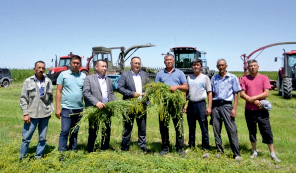 "ШӨП ШҮЙГІН ӨСКЕН": БАЛҚАШ АУДАНЫНДА ШАБЫНДЫҚҚА ШАЛҒЫ ТҮСТІ