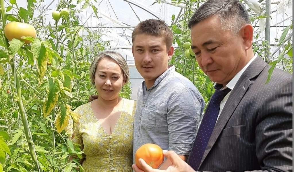 "СҰРАНЫС КӨП": МҰХАМЕТ ӘУЛЕТІ ИРАНДЫҚ ТЕХНОЛОГИЯМЕН ҚЫЗАНАҚ ӨСІРЕДІ