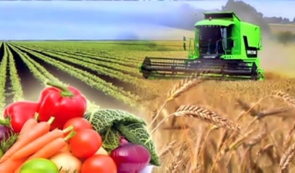 ПАНДЕМИЯҒА ҚАРАМАСТАН АУЫЛШАРУАШЫЛЫҒЫ ЖҰМЫСТАРЫ ЖАЛҒАСАДЫ