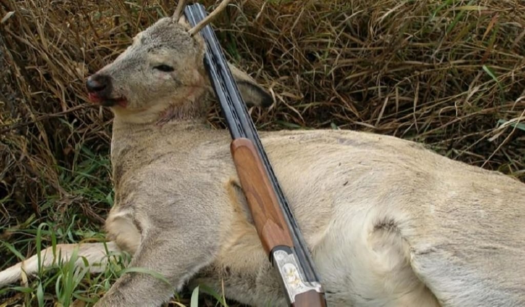 ЖАНУАРДЫ ЗАҢСЫЗ АТУ: 5 МЛН. ТЕҢГЕГЕ ДЕЙІН АЙЫППҰЛ САЛЫНАДЫ