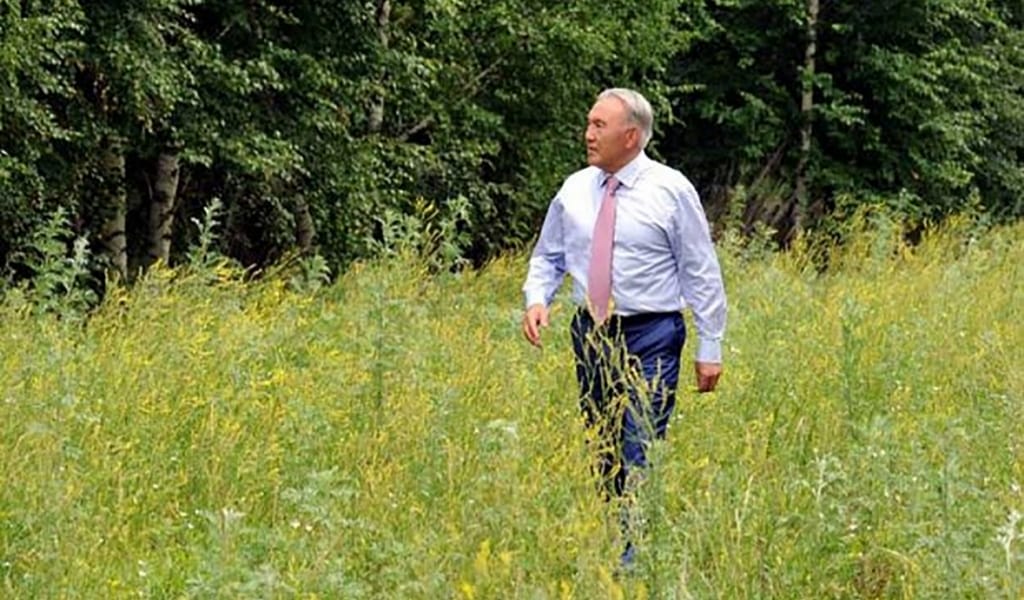 КӨЛЕМІ 100 МЫҢ ГЕКТАРҒА ЖЕТТІ: ОРМАННАН ҚОРҒАН ЖАСАҒАН