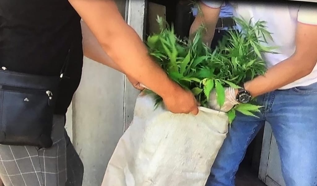 "ЕСІРТКІ ӨСІРГЕН": БІР ТӘУЛІКТЕ ЕКІ АДАМ ҚАМАЛДЫ