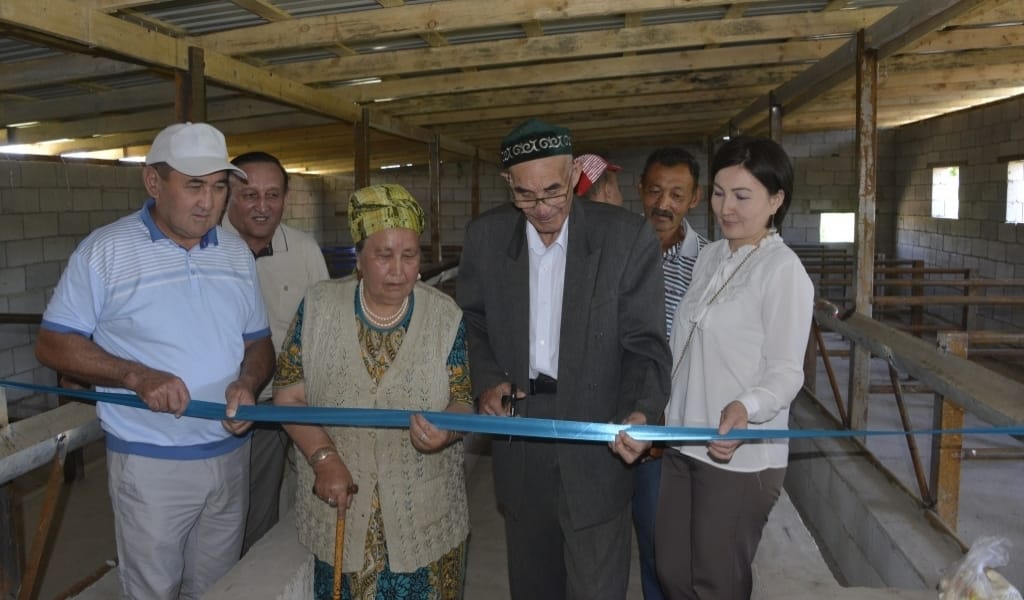 20 БАС ІРІ ҚАРАНЫ БІРДЕН КҮТІМГЕ АЛАДЫ: БОРДАҚЫЛАУ АЛАҢЫ АШЫЛДЫ