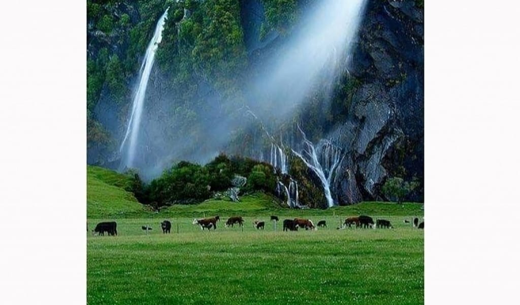 ТАБИҒАТ ҚҰШАҒЫНДА ТЕРБЕЛГЕНДЕЙ: ЖЕТІСУ СУРЕТТЕРІ