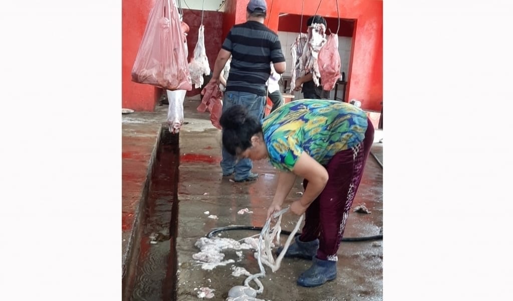 БАЗАРДАҒЫ БЫЛЫҚ