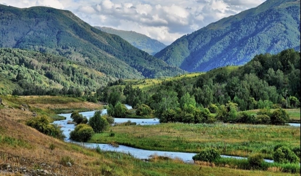 "АҒАДЫ АРНА ҚУЫП, ДАЛА КЕРНЕП": ЖЕТІСУ ӨЗЕНДЕРІ ЖАЙЛЫ ЖЫР