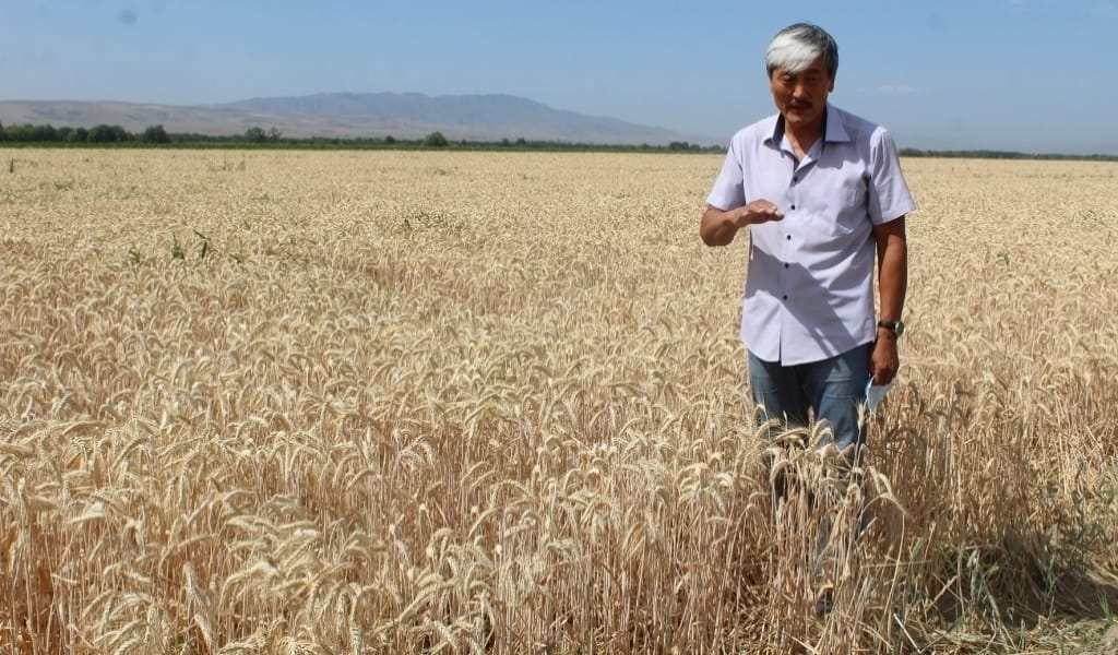 ҚАРАТАЛДА СУ КӨП: 2400 ТОННА ӨНІМ ЖИНАДЫ