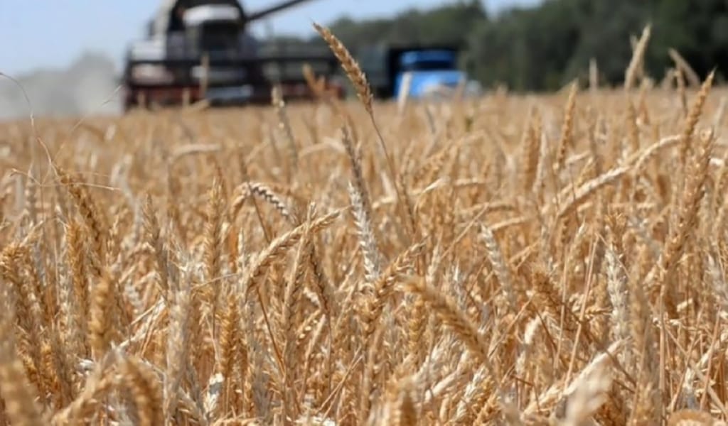 ТАПШЫЛЫҚ КӨРГЕН ЖОҚ